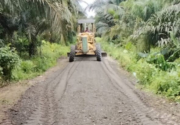 Screenshot_2026-02-02-12-05-14-99_7352322957d4404136654ef4adb64504