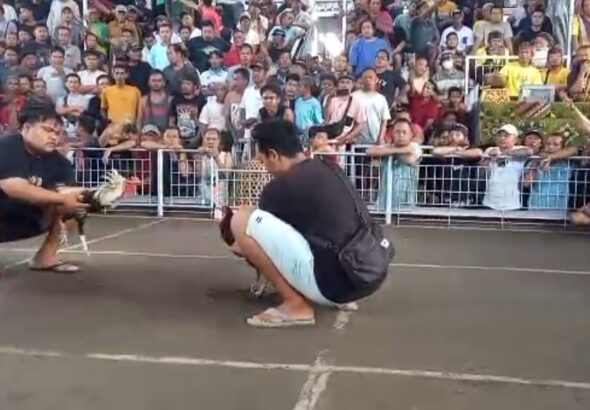 Screenshot_2026-04-12-19-07-33-81_7352322957d4404136654ef4adb64504