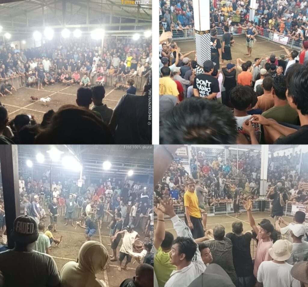 Screenshot_2026-04-24-13-29-12-08_7352322957d4404136654ef4adb64504