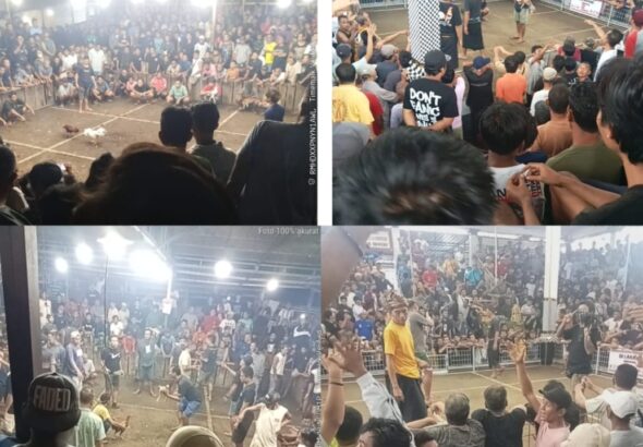 Screenshot_2026-04-24-13-29-12-08_7352322957d4404136654ef4adb64504