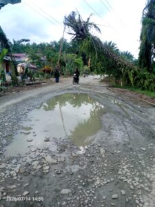 IMG-20260714-WA0008